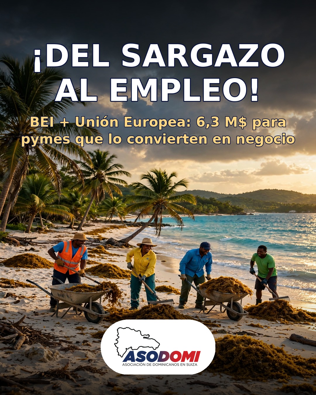 ¡Del sargazo al empleo!