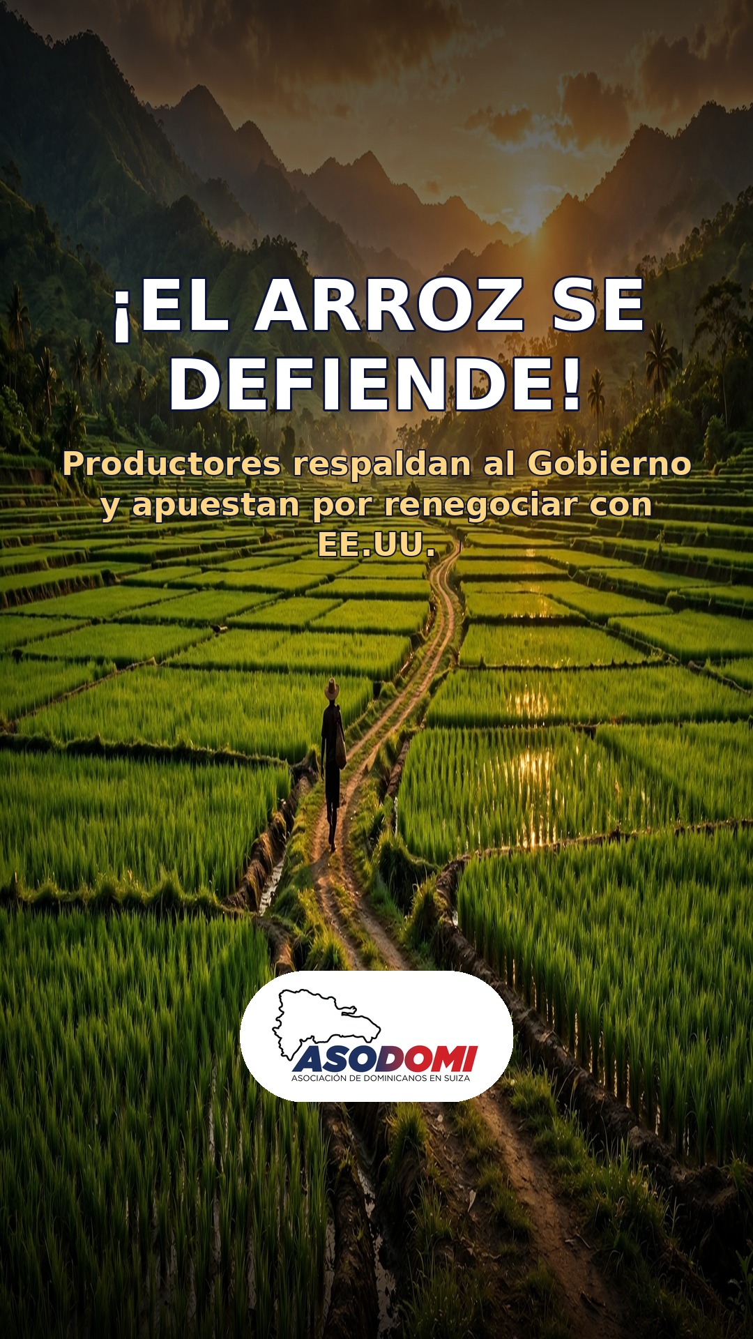 ¡El arroz se defiende! Productores respaldan al Gobierno y apuestan por renegociar con EE.UU.