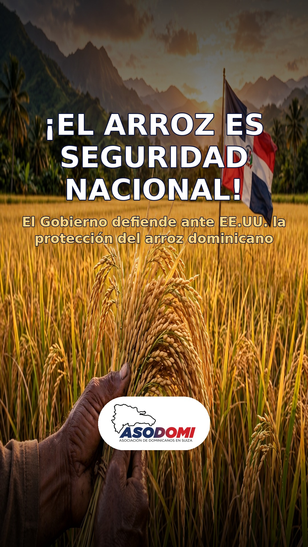 ¡El arroz es seguridad nacional! El Gobierno defiende ante EE.UU. la protección del arroz dominicano